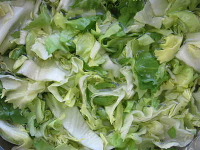 endive, salad, sayuran, hijau, memotong, Cuci, Frisch