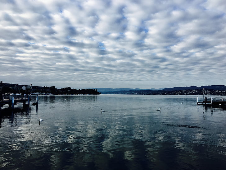 Lake, Zwitserland, Fischer, landschap, geplaatste lake, meer van Genève, Steamboat