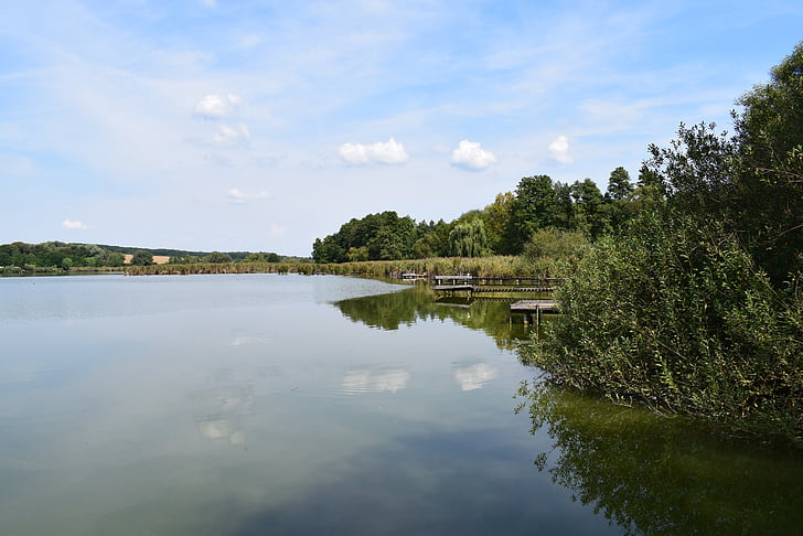 jezero, vode, priroda, Riva, krajolik, Reed, zelena