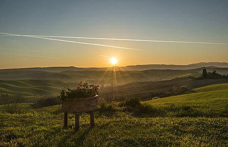 Toscana, landskapet, solnedgang, Italia, landbruk