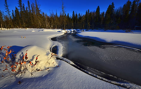 winter landscape, snow, winter, nature, cold, river, white