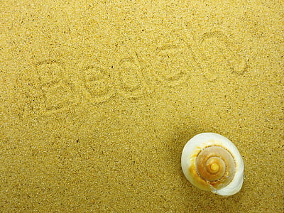 Sand, stranden, Shell, naturen, sommar, bakgrund, karta