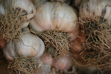 garlic, condiment, kitchen, flavor, eat, market