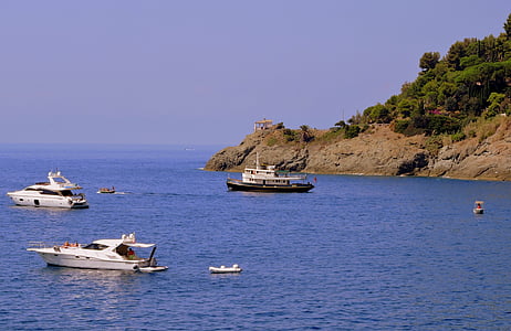 båter, sjøen, fjell, vann, Costa, Liguria, Italia