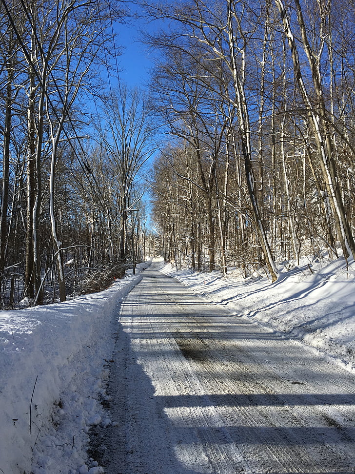 road, winter, snow, sky, trees, forest, scene