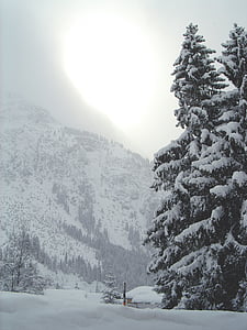 sneh, strom, Mountain, mrazivé, cestné, zimné, za studena
