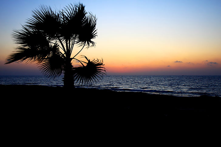 fons, pludmale, skaists, krasts, krēslas stundā, vakarā, ainava