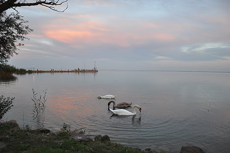 Natura, Jezioro balaton, Jezioro, wody