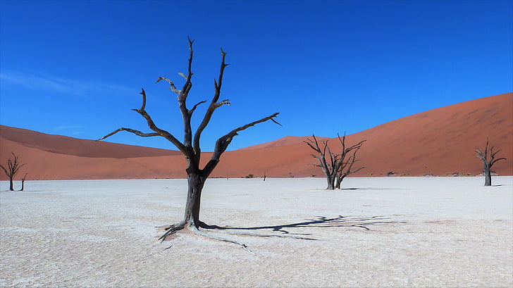 Sossusvlei, Namibia, colori contrastanti, pot di argilla, deserto, aride