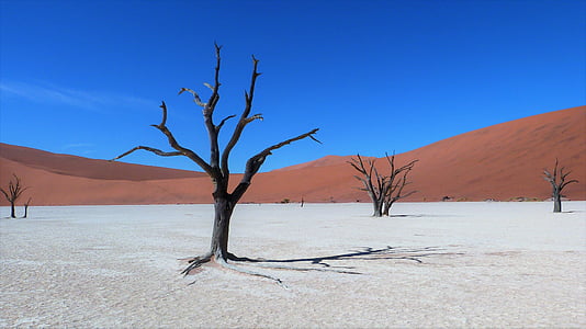 Sossusvlei, Namíbia, colors contrastats, Cassola de fang, desert de, àrid