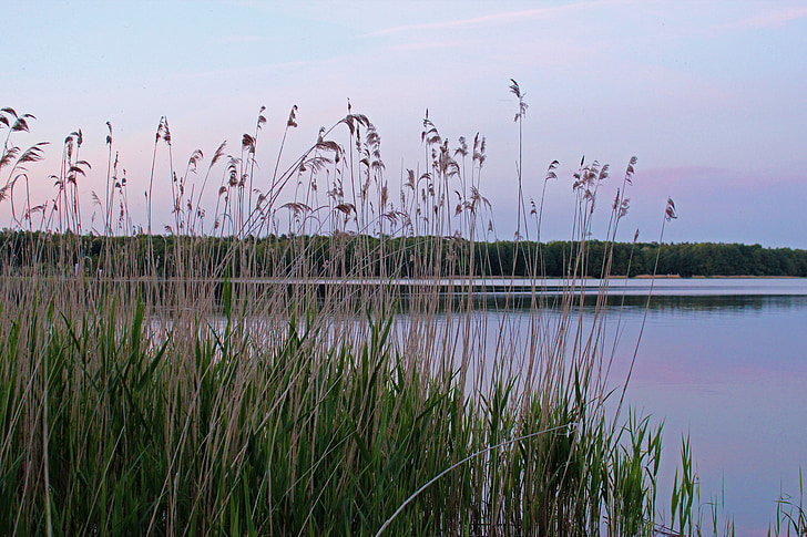 ezers, Mēklenburgas Rietumu Pomerānijas, labusseee, krēslas stundā, saulriets, zāle, abendstimmung
