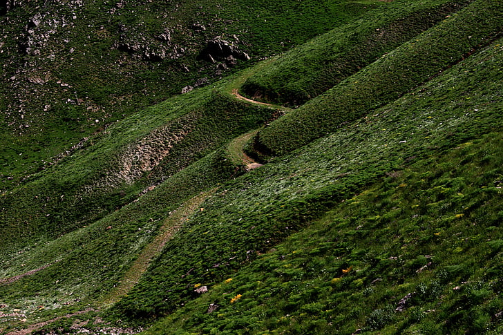 natura, paisatge, verd, Şırnak ta, Turquia, camí, muntanya
