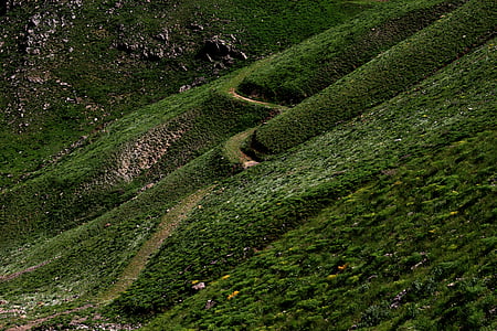 nature, paysage, vert, Sirnak, Turquie, chemin d’accès, montagne