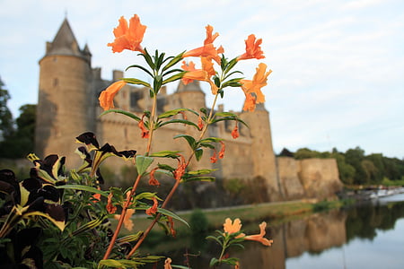 Castle, a középkorban, Franciaország, építészet, erőd, épület, régi