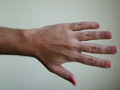 Körper, Hand, Detail, menschliche hand, Menschen