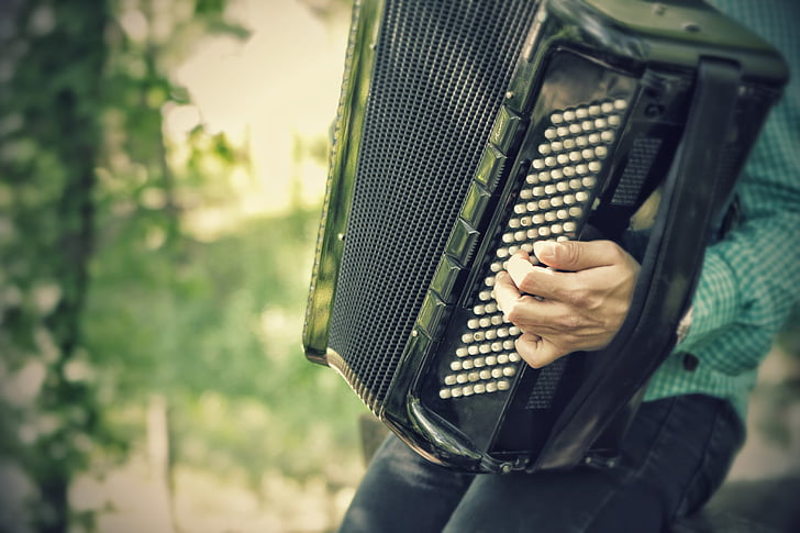 accordion, harmonica, music, instrument, traditional, classical, musician
