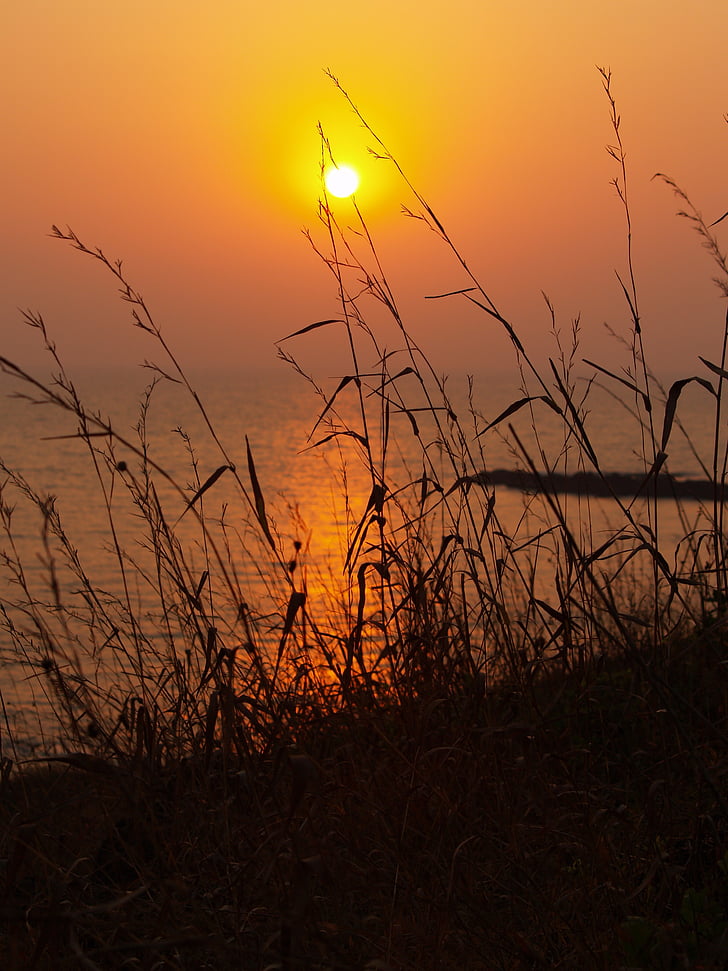 sunset, india, wild grass, silhouette, sea, reflection, orange