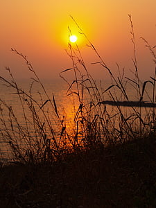 puesta de sol, India, hierba salvaje, silueta, mar, reflexión, naranja