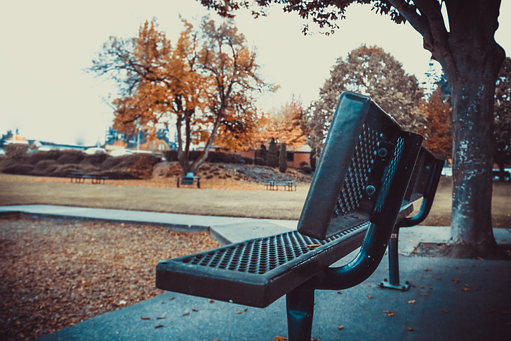 autumn, fall, leaves, park, bench, outdoors, nature
