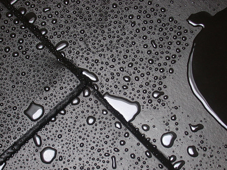 drops, water, bottom, surface, the ground floor, condensation, drop