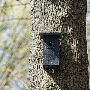 scatola di nido, Birdhouse, foresta, Casa, natura, primavera, albero