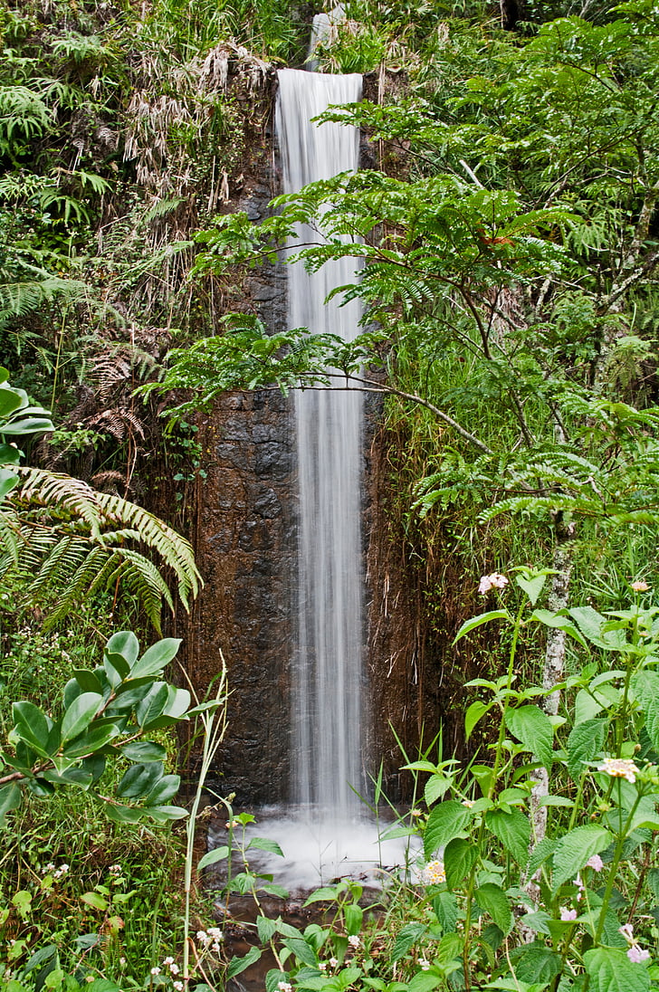 small falls, national park, madagascar, forest, waterfall