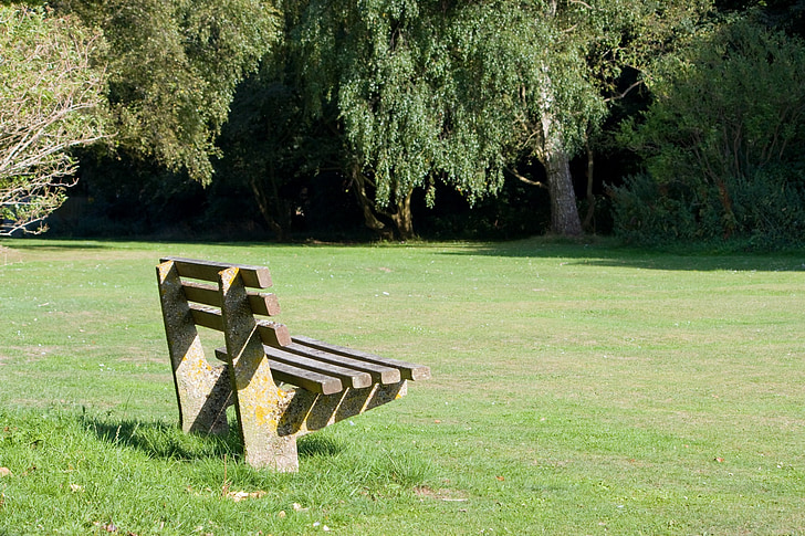 板凳, 公园, 座位, 木制, 草, 绿色, 阳光照射