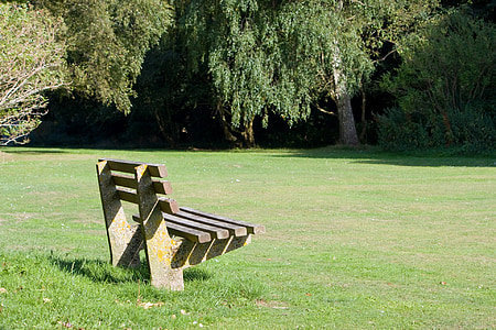 bench, park, seat, wooden, grass, green, sunlit