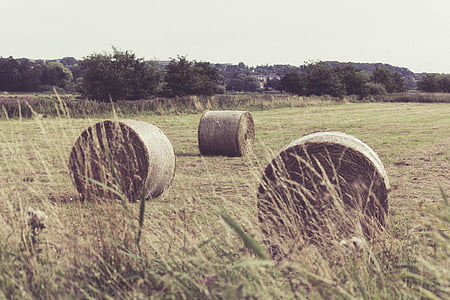three, bale, hays, field, baling, hay, straw bales