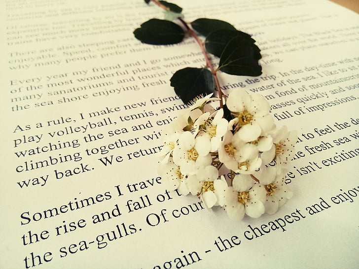 Hoa, cuốn sách, trắng, tự nhiên, đồ trang sức, nhẫn, đám cưới