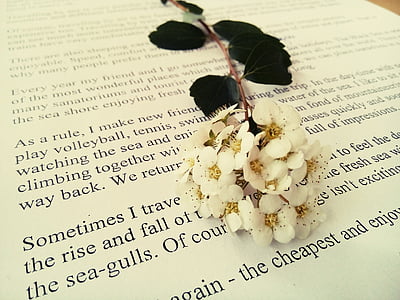 flower, book, white, natural, jewelry, ring, wedding