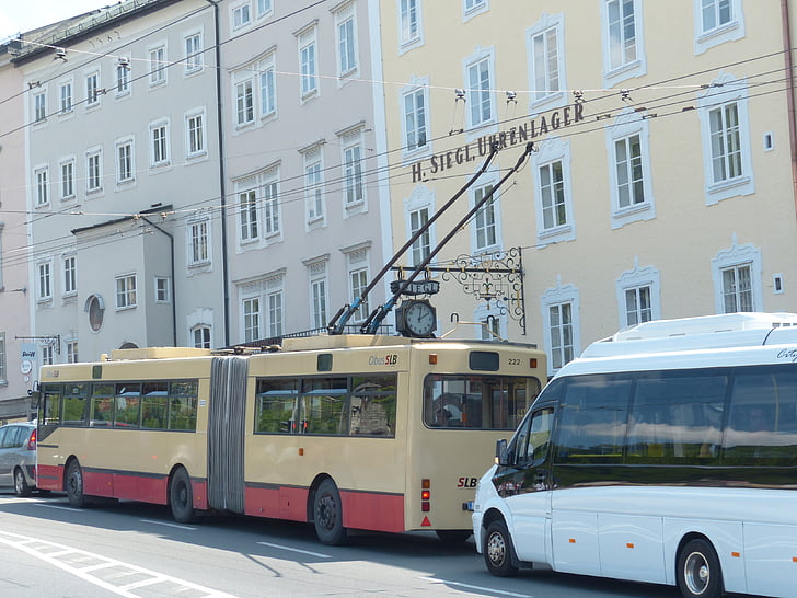 trolleybus, bus, verkeer, weg, voertuig, oberleitungsomnibus, trackless trolley