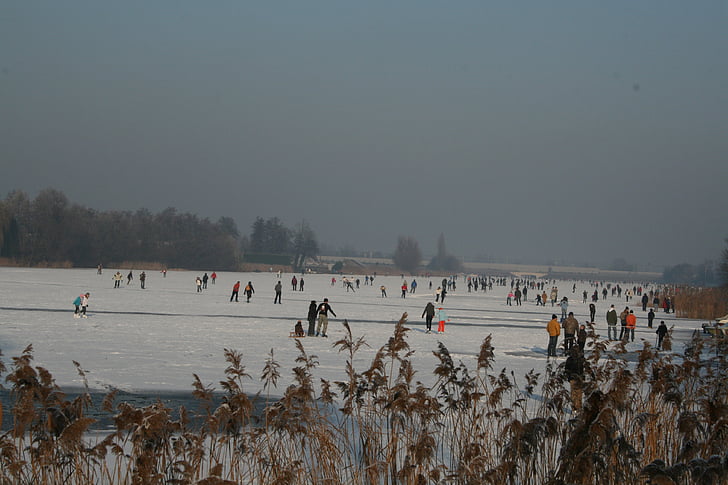 frost, natural ice pastime, landscape, ice skating, netherlands