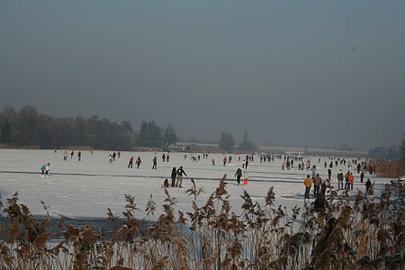 geada, passatempo de gelo natural, paisagem, Patinação no gelo, Países Baixos