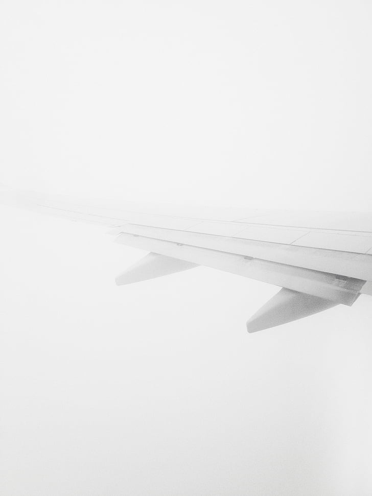 blanc, avió, ala, transport, avió, vol, tecnologia