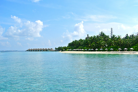 Maldiverna, stranden, Holiday, Kallelse, klart vatten, Resort