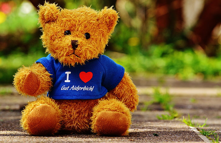 Тедді, добре aiderbichl, Святилище, тварин, ведмідь, Смішний, t-сорочка