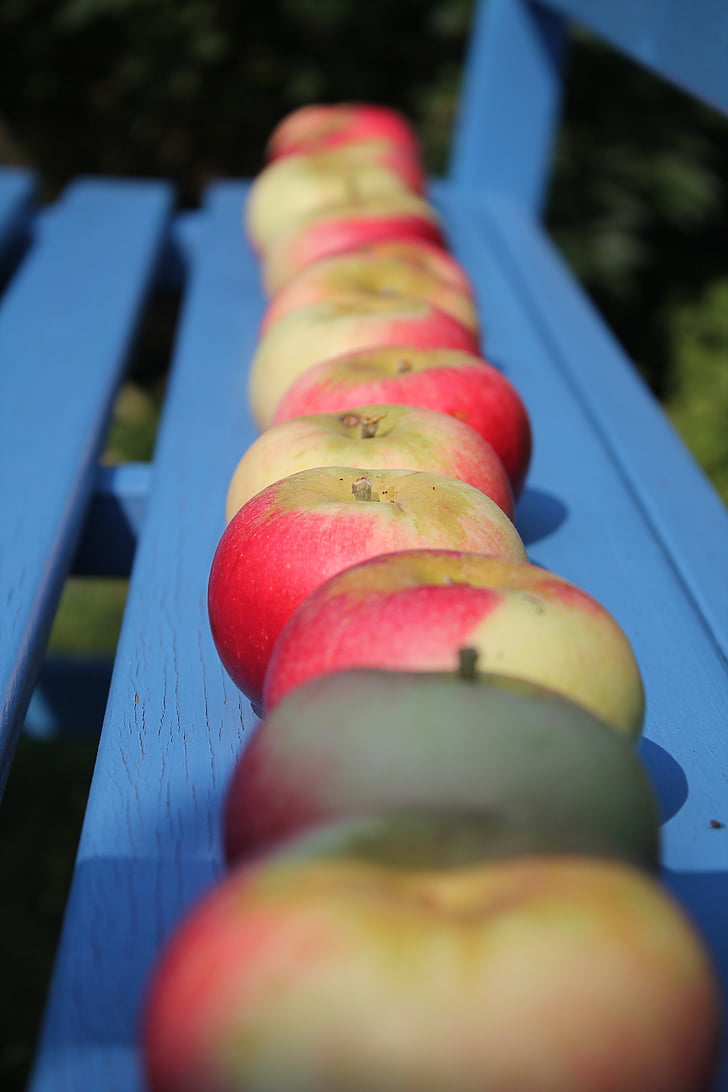 frukt, Apple, Frisch, friska, trädgård, rött äpple, sommar