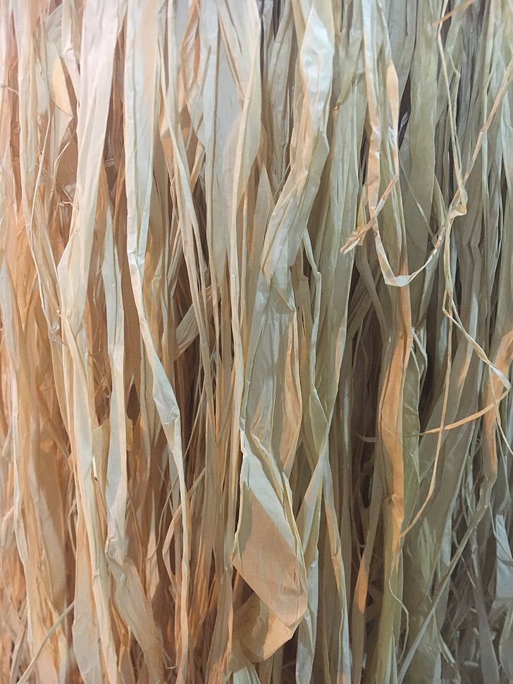 straw, texture, straw-of-the-coast, dry straw
