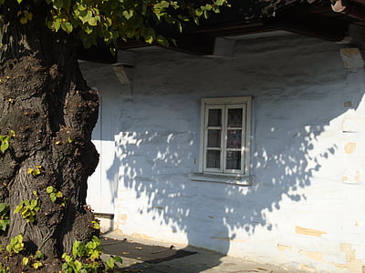 Lanckorona, Polen, arkitektur, monumentet, träd, hus