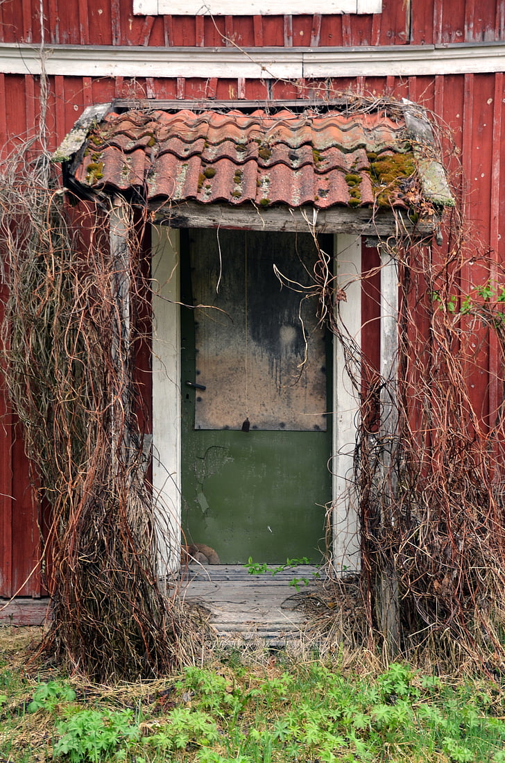 Старий, двері, червоний, літо, античні, будинок, покинуті