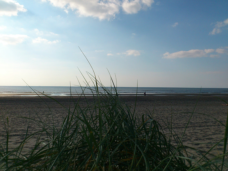 more, Sjeverno more, plaža, odmor, rub mora, pijesak, plaža pijesak