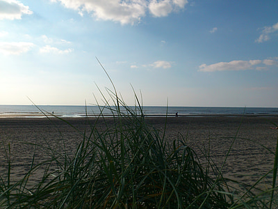 havet, Nordsjön, stranden, Holiday, kanten av havet, Sand, sandstrand