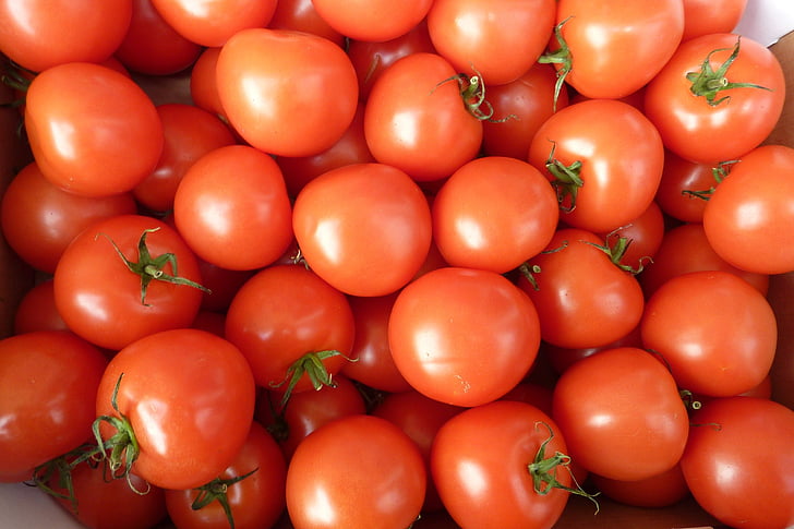 tomater, rød, grønnsaker, mat, sunn, mat og drikke, vegetabilsk