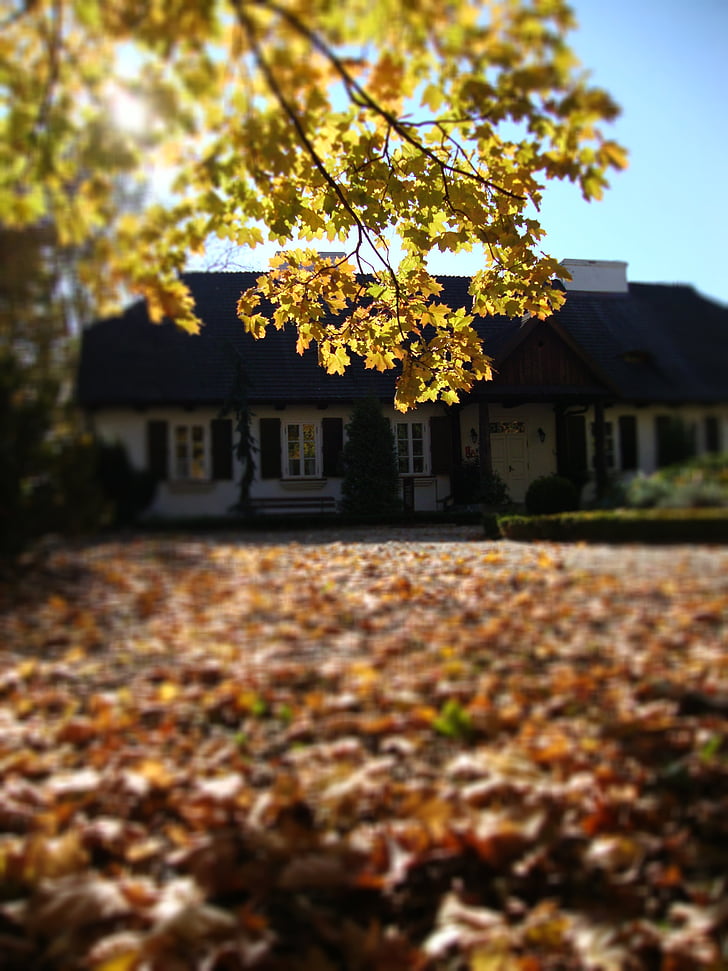 Sierpc, Lengyelország, Manor, épület, fa, ősz, nézet