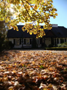 sierpc, Polandia, Manor, bangunan, pohon, musim gugur, pemandangan
