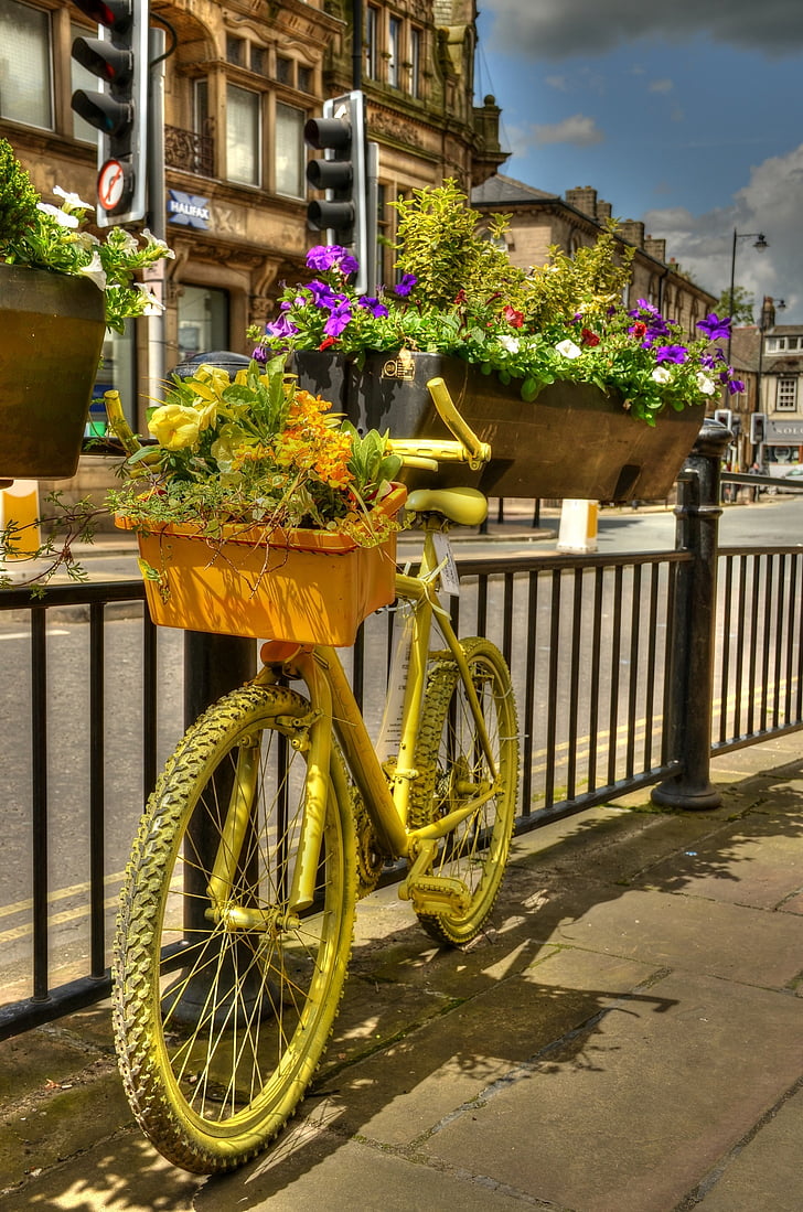 bicycle, flower box, floral display, decoration, basket, outdoors, urban