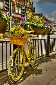 ποδήλατο, κουτί λουλούδι, floral οθόνη, διακόσμηση, καλάθι αγορών, σε εξωτερικούς χώρους, αστική
