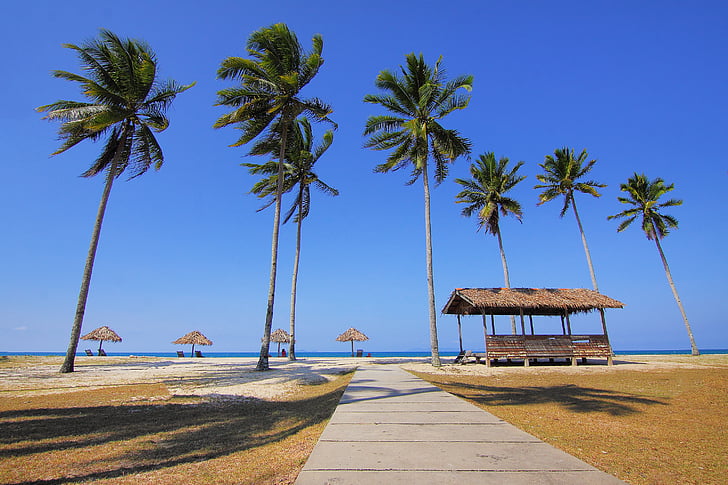 pláž, plážová lehátka, kokosové palmy, exotické, chaty, idylické, ostrov