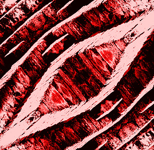 artistic, fotofilter, pattern, red, texture, design, wall